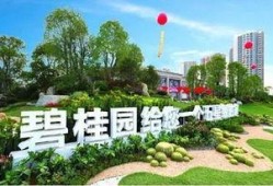 玉林碧桂园爆料最新消息,揭秘项目进展与未来规划