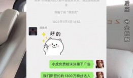 南阳网红爆料是谁啊最新消息,揭秘神秘人物身份引发热议