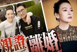 刘大锤最新爆料原版下载,原版下载背后的秘密与真相
