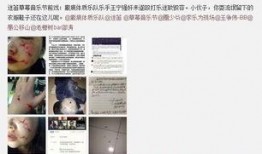 摇滚爆料网站大全最新,揭秘音乐界最新动态与幕后故事