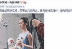 卓伟最新爆料刘姓女星,娱乐圈再掀波澜！