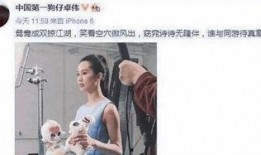 卓伟最新爆料刘姓女星,娱乐圈再掀波澜！