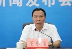 王小飞最新爆料新闻,揭秘娱乐圈最新劲爆新闻