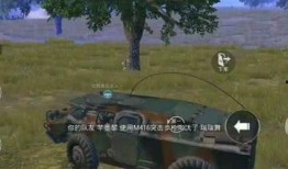 黄金玛莎返场最新爆料