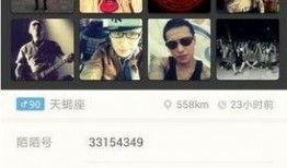 摇滚爆料网站大全最新,揭秘音乐界最新动态与幕后故事