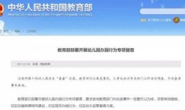 深圳小孩爆料案件最新情况,案情细节披露，警方全力侦破