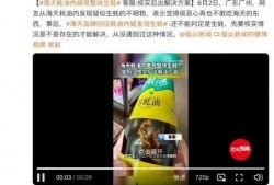 爆料海天视频最新,揭秘行业内幕，引发公众关注