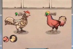 疯狂斗鸡场最新爆料视频,激战一触即发，精彩瞬间抢先看！