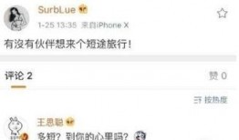 南阳网红爆料是谁啊最新消息,揭秘神秘人物身份引发热议